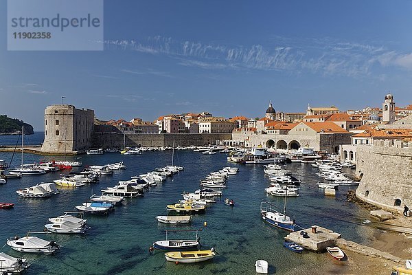 Hafen der Altstadt von Dubrovnik  Süddalmatien  Dalmatien  Adriaküste  Kroatien  Europa