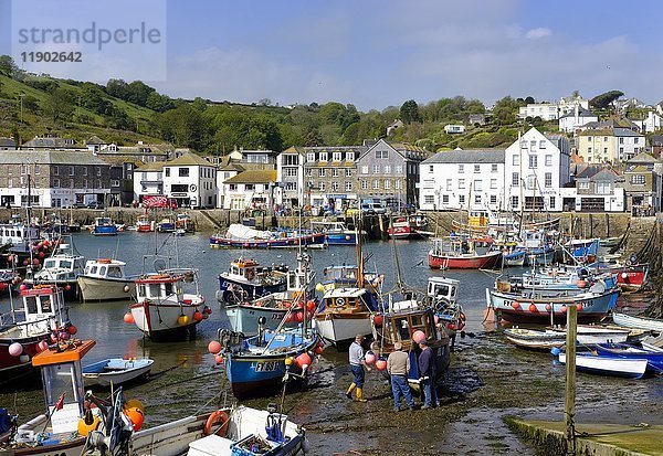 Fischereihafen  Mevagissey  Cornwall  England  Vereinigtes Königreich  Europa