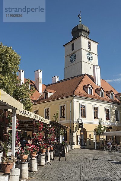 Ratsturm und kleiner Platz  Piata Mica  Sibiu  Rumänien  Europa