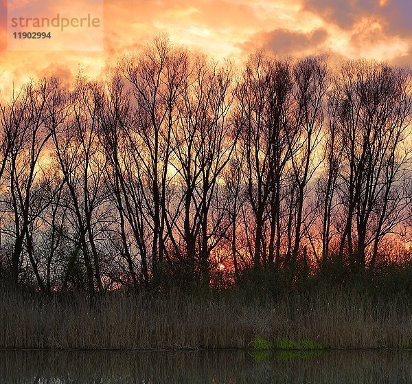 Sonnenuntergang über der Peene  Naturpark Flußlandschaft Peenetal  Mecklenburg Vorpommern  Deutschland  Europa