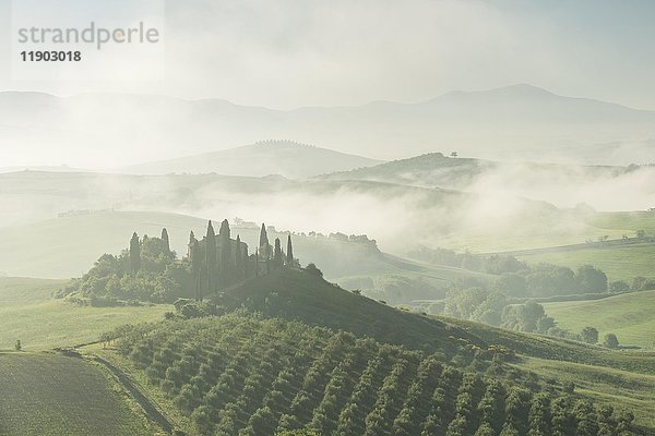 Podere Belvedere  Einzelgehöft  Morgenstimmung mit Frühnebel  San Quirico d'Orcia  Val d'Orcia  Toskana  Italien  Europa
