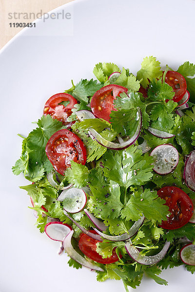 Koriander-Salat
