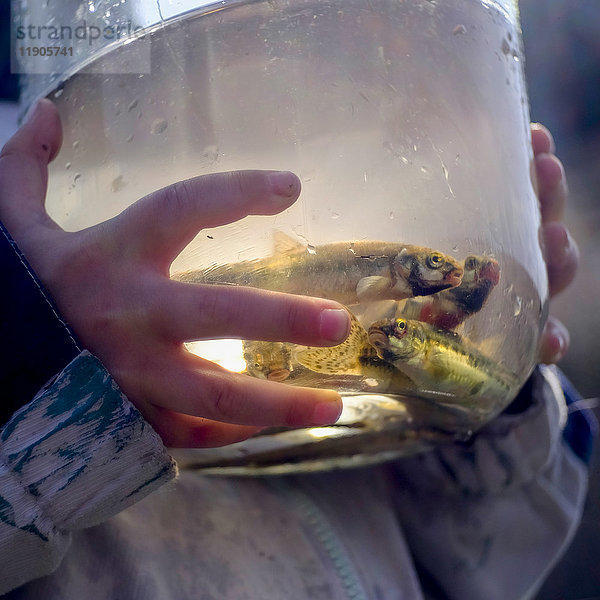 Hände eines kaukasischen Jungen  der ein Glas mit Fisch hält