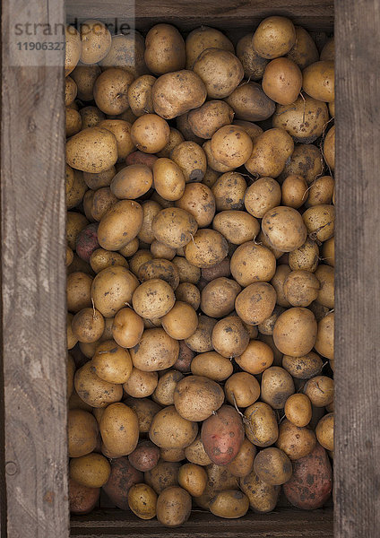 Kartoffeln in einer Holzkiste