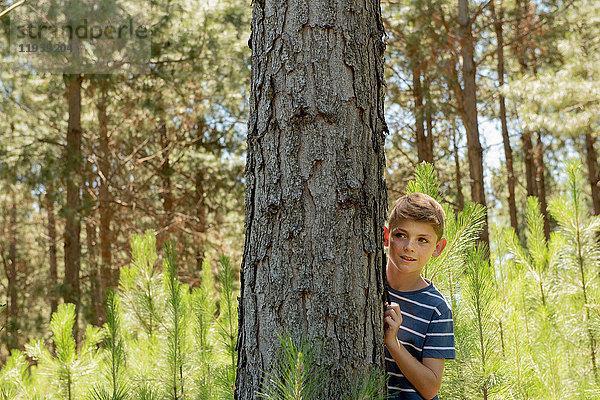 Junge versteckt sich hinter Baumstamm