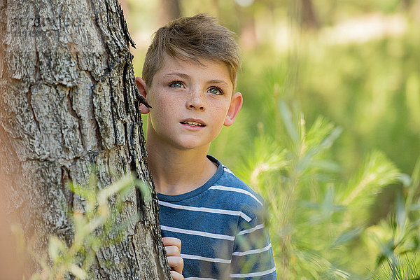 Junge lehnt sich an Baumstamm  schaut in Ehrfurcht auf.