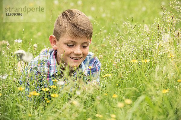 Junge auf der Wiese liegend  Blumen pflückend