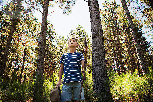 Junge beim Wandern im Wald