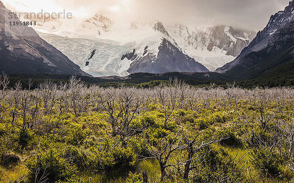 Tallandschaft mit niedriger Bewölkung über schneebedeckten Bergen im Los Glaciares-Nationalpark  Patagonien  Argentinien