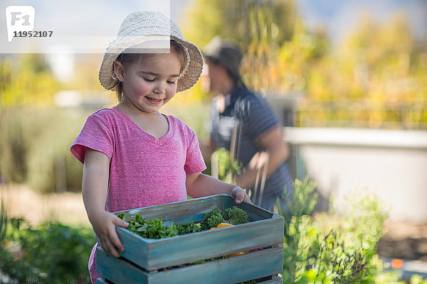 Junges Mädchen im Garten  das eine Holzkiste mit Gemüse trägt