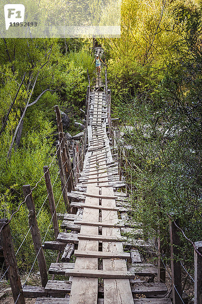 Weibliche Wanderin überquert gefährlichen Holzsteg am Cajon del Azul bei El Bolson  Patagonien  Argentinien