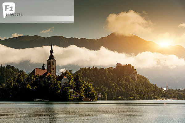 Ansicht der Kirche auf der Insel Bled  Bleder See  Slowenien