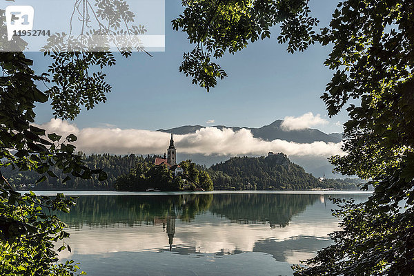 Ansicht der Kirche auf der Insel Bled  Bleder See  Slowenien