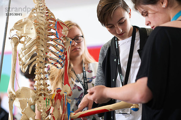 Studenten im Biologieunterricht