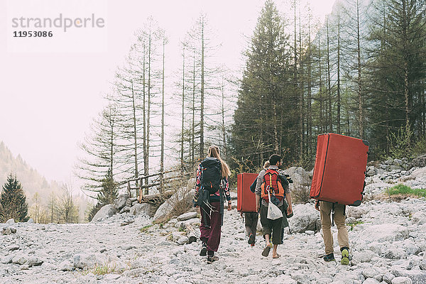 Rückansicht von erwachsenen Freunden  die mit Rucksack und Bouldermatten in Waldnähe wandern  Lombardei  Italien