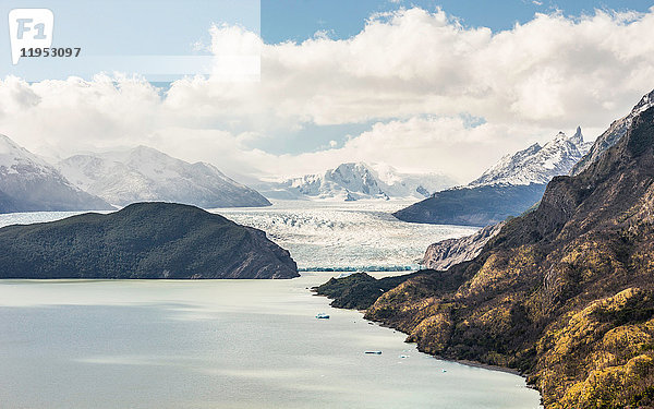 Blick auf den Grey-Gletschersee und den Grey-Gletscher  Torres del Paine Nationalpark  Chile