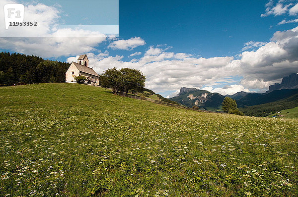 St. Jakobskirche auf dem Wildblumenhügel  Tal von Funes  Dolomiten  Italien