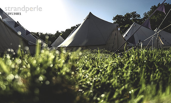 Leuchtende Glockenzelte  traditionelle Zelte aus Segeltuch in einem Gehege auf dem Campingplatz bei einem Musikfestival im Freien.