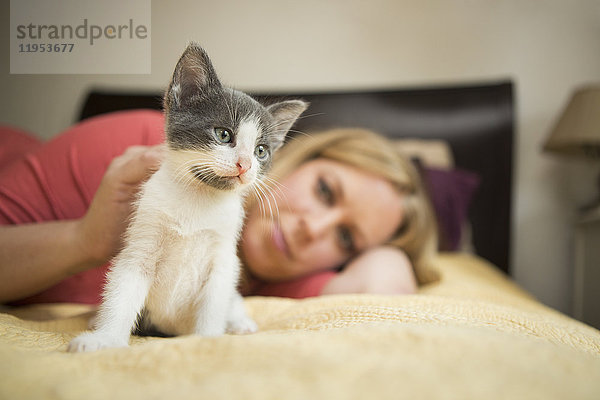 Eine auf einem Bett liegende Frau streichelt ein kleines grau-weißes Kätzchen