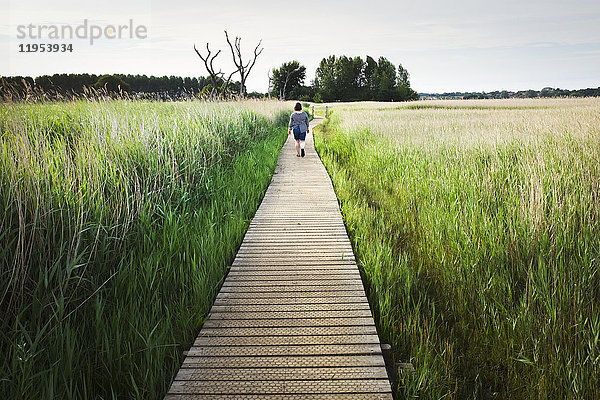 Rückansicht einer Frau  die entlang einer Holzpromenade durch hohes Gras geht.