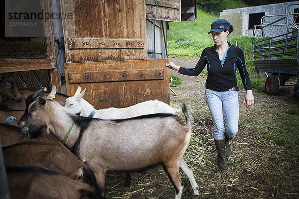Reportage über eine Ziegenhirtin  Noemie  in Haute-Savoie  Frankreich. Noemie hat den Hof ihrer Familie übernommen und hält eine Herde von 75 Milchziegen. Sie wird zweimal am Tag gemolken  morgens und abends. Zwischen dem Melken verarbeitet Noemie die Milch zu verschiedenen Milchprodukten (Käse  Joghurt  Flan) und kümmert sich um die Belieferung ihrer Kunden. Noemie würde gerne auf biologische Landwirtschaft umstellen  sie füttert ihre Ziegen mit biologischem Getreide und erfüllt die geforderten Kriterien  aber das Problem bei dieser Umstellung liegt in der Wahl der Ziegen. Um Ziegen zu haben  die genügend Milch produzieren  benutzt sie einen Besamungsautomaten  der alle Ziegen gleichzeitig besamt. Dazu verabreicht Noemie den Ziegen ein Hormon  um den Zeitpunkt der Brunst festzulegen  aber das schließt ihren Betrieb von der Bio-Zertifizierung aus.
