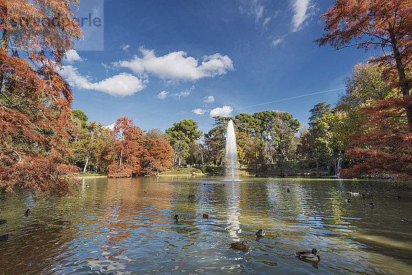 Spanien  Madrid  Retiro Park im Herbst