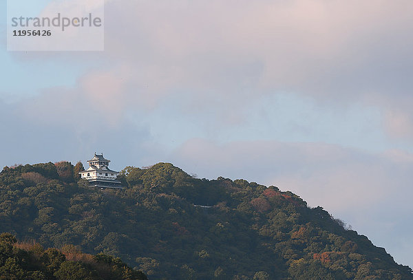 Schloss Iwakuni  Präfektur Yamaguchi  Japan