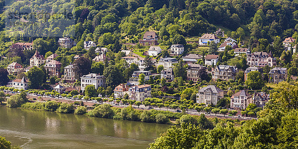 Deutschland  Heidelberg  Blick auf das Villenviertel am Neckarufer
