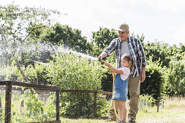 Großvater und Enkelin in der Gartenbewässerung