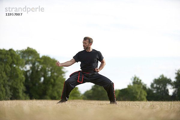 Mann praktiziert Kung Fu im Park
