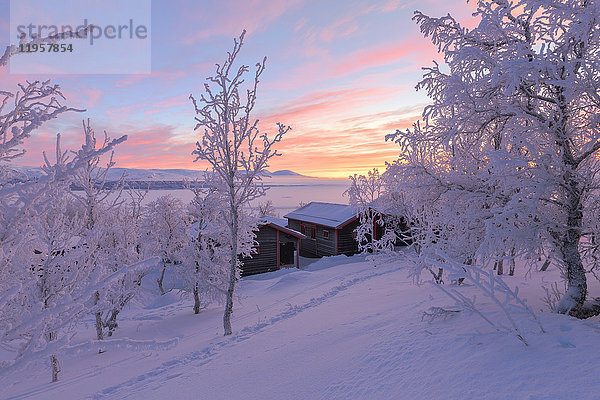 Das Licht der Morgendämmerung beleuchtet ein einsames Haus im schneebedeckten Wald  Bjorkliden  Norbottens Ian  Schweden  Skandinavien  Europa