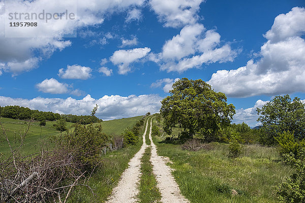 Landschaft im Frühling  Gubbio  Umbrien  Italien  Europa