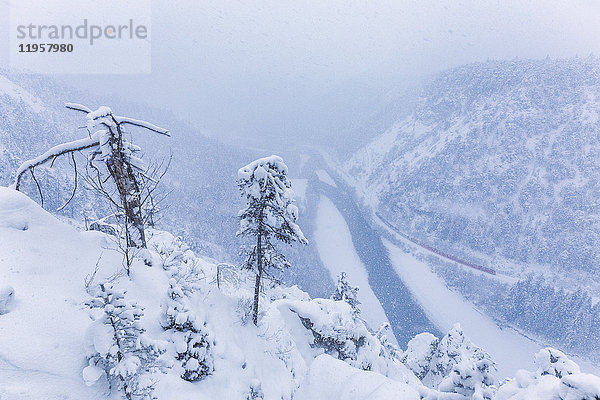 Der Rote Zug fährt im Rheintal während eines Schneesturms  Rheinschlucht  Flims  Imboden  Graubünden  Schweiz  Europa