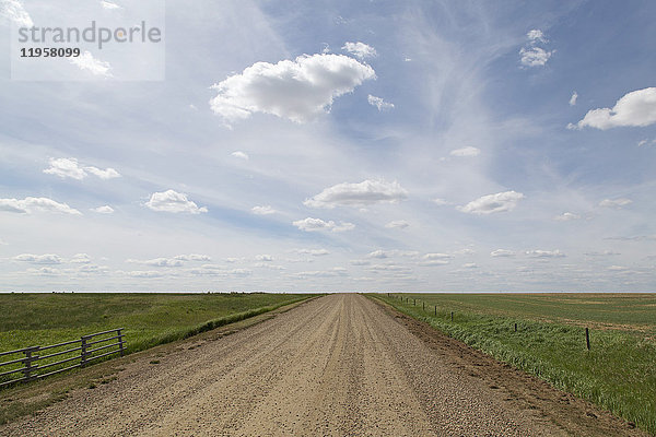 Wolken und blauer Himmel über einem Feldweg in den Badlands von Alberta  nahe Drumheller  Alberta  Kanada  Nordamerika