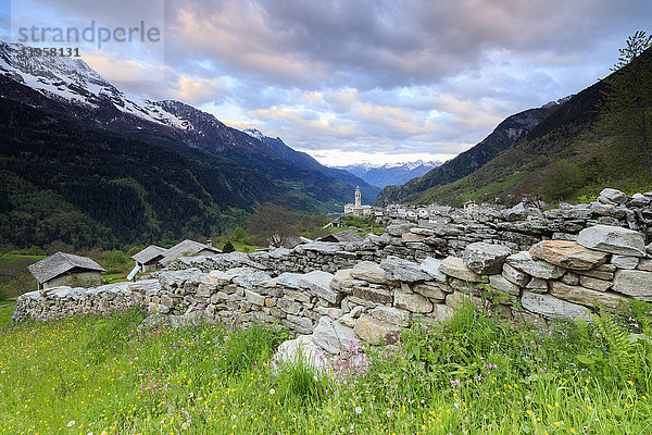 Rosa Wolken in der Morgendämmerung über dem Bergdorf Soglio  Maloja  Bergell  Engadin  Kanton Graubünden  Schweiz  Europa