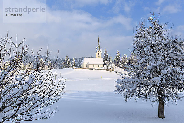 Die Sonne beleuchtet die Kirche von Versam nach einem Schneefall  Versam  Safiental  Surselva  Graubünden  Schweiz  Europa