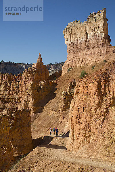 Wanderung auf dem Queens Garden Trail  Bryce Canyon National Park  Utah  Vereinigte Staaten von Amerika  Nordamerika