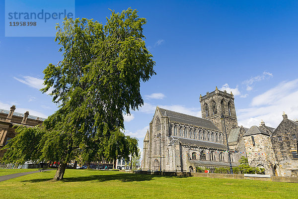 Paisley Abbey und Baum  Renfrewshire  Schottland  Vereinigtes Königreich  Europa