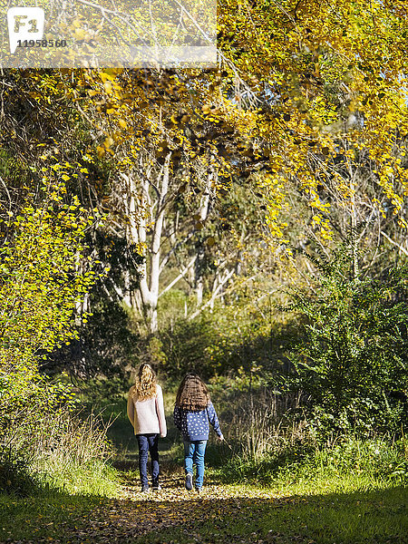 Australien  Queensland  Mädchen (10-11  12-13) gehen im Herbst auf einem Fußweg