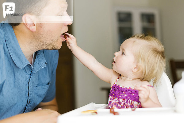 Kleines Mädchen (12-17 Monate) füttert ihren Vater