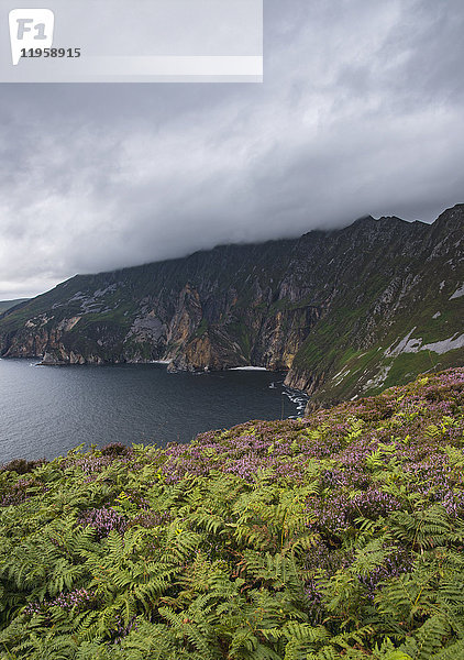 Irland  Grafschaft Donegal  Slieve League Klippen an der Bucht von Donegal