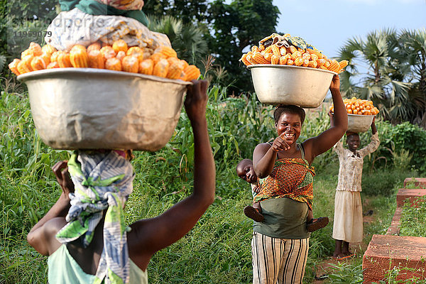 Frauen tragen einen Teller mit Mais auf dem Kopf  Sotouboua  Togo  Westafrika  Afrika