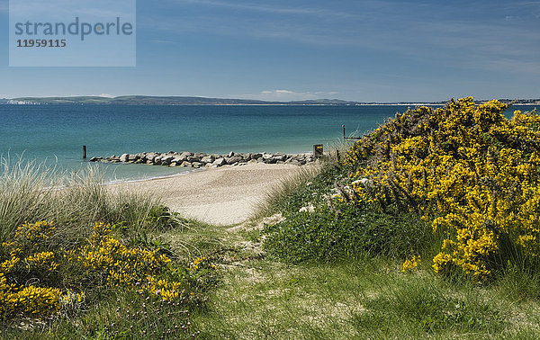 Strand zwischen Hengistbury Head und Bournemouth mit Poole Bay und Isle of Purbeck im Hintergrund  Dorset  England  Vereinigtes Königreich  Europa