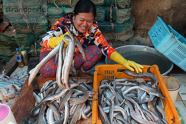 Frau sortiert fangfrischen Fisch  Fischmarkt Vung Tau  Vietnam  Indochina  Südostasien  Asien
