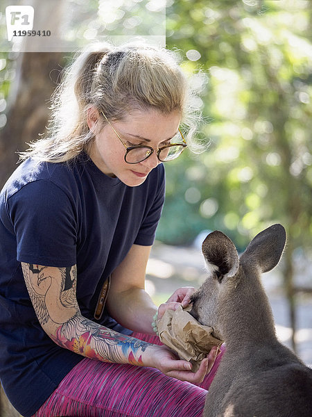 Junge Frau füttert Östliches Graues Känguru (Macropus giganteus)