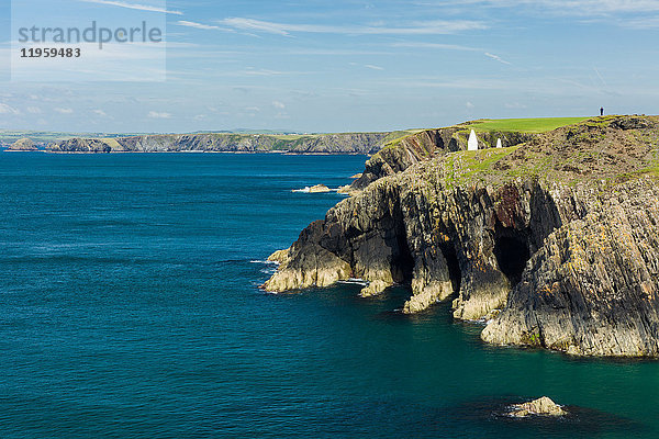 Ein einsamer Wanderer hoch oben auf den Klippen  die sich an einem ruhigen Sommertag kilometerweit entlang des Küstenpfads von Pembrokeshire erstrecken  Wales  Vereinigtes Königreich  Europa