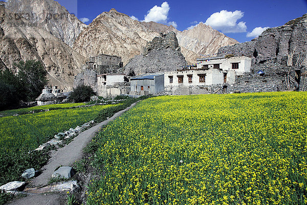 Ein Bergdorf im Markha-Tal  Zanskar  Indien  Asien