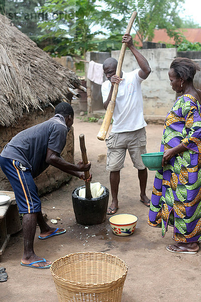 Männer zerstampfen Maniok in einem Holztopf mit einem Stock  um Mehl herzustellen  Datcha  Togo  Westafrika  Afrika