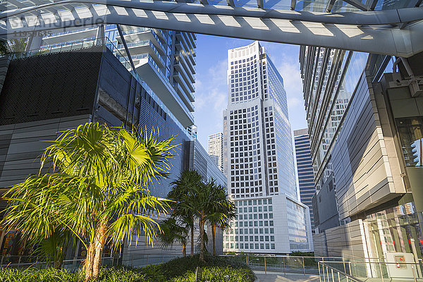 Blick vom Einkaufszentrum Brickell City Centre in Downtown Miami  Miami  Florida  Vereinigte Staaten von Amerika  Nordamerika