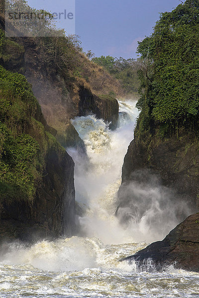 Murchison Falls  Uganda  Afrika